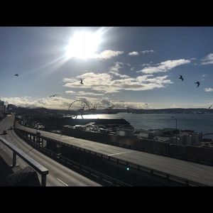 Meet your Posher, Tracy